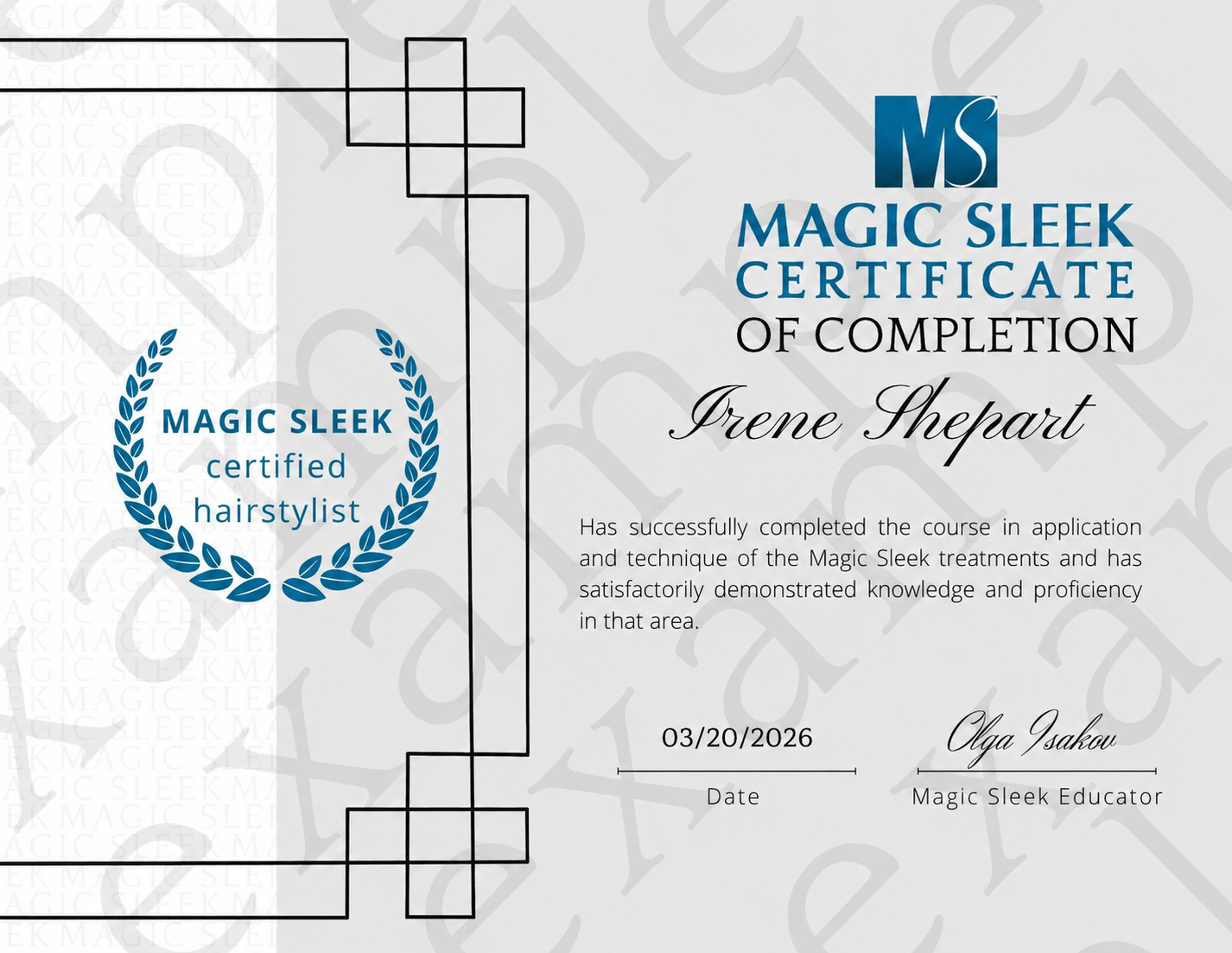Magic Sleek professional hairstylist certification certificate for completing hair straightening treatment training